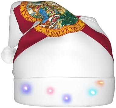 Flag Of Florida Christmas Hat With LED Lights