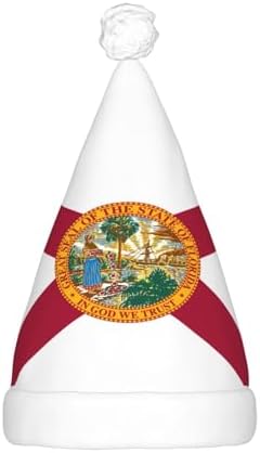 Flag Of Florida Christmas Hat With LED Lights