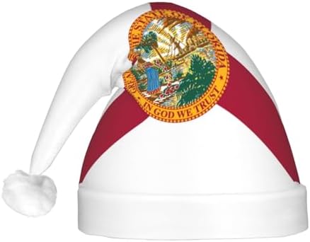 Flag Of Florida Christmas Hat With LED Lights
