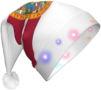 Flag Of Florida Christmas Hat With LED Lights