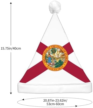 Flag Of Florida Christmas Hat With LED Lights