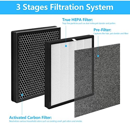 2-Pack Aerio-300 Replacement Filter Set